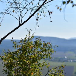 2018-10 Prague/Sächsische Schweiz/DSC_5810.JPG